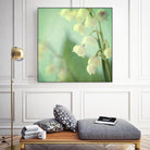 Lily of the Valley by Judy Stalus on GIANT ART - multicolor photography; floral/still life