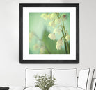 Lily of the Valley by Judy Stalus on GIANT ART - multicolor photography; floral/still life