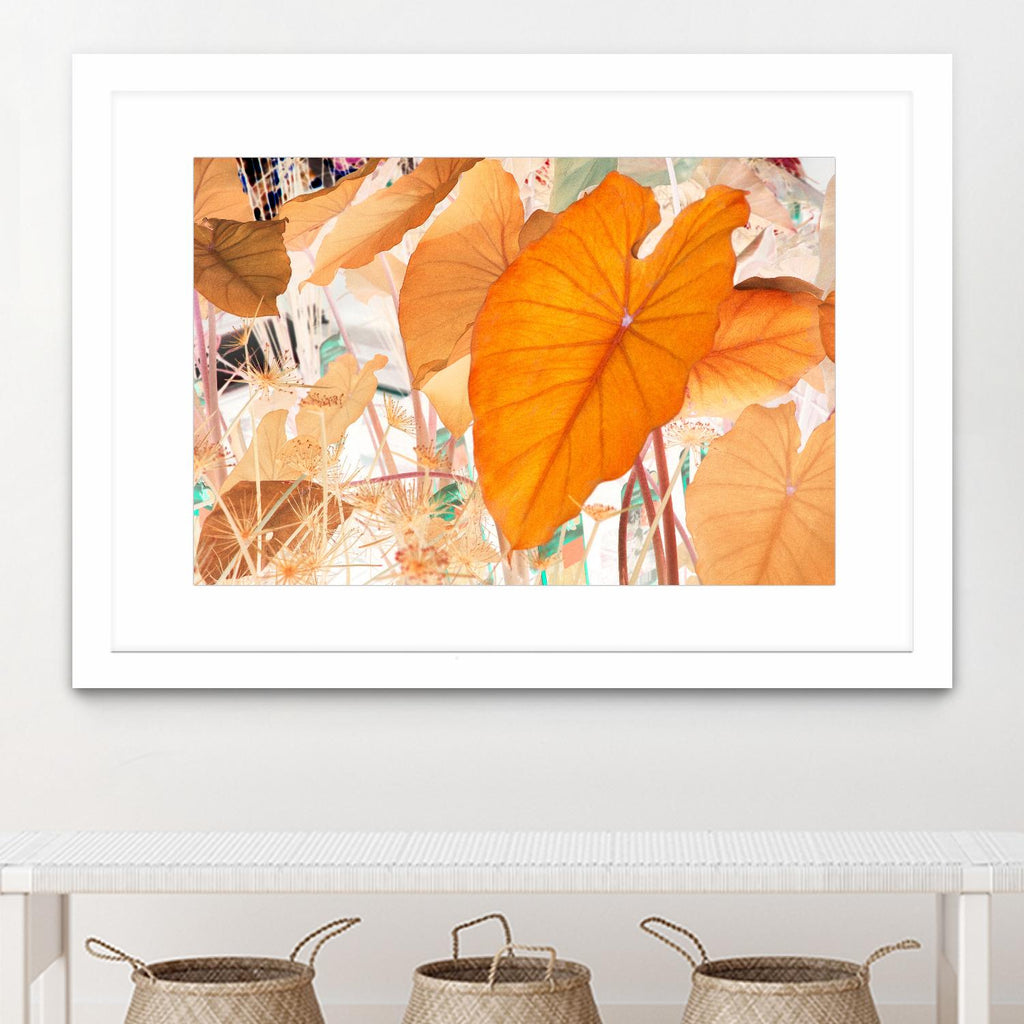 Elephant Ears by Judy Stalus on GIANT ART - multicolor photography; floral/still life; contemporary