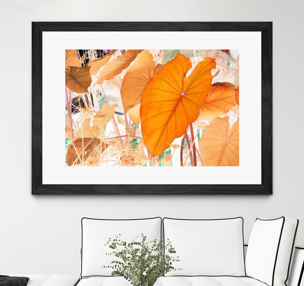 Elephant Ears by Judy Stalus on GIANT ART - multicolor photography; floral/still life; contemporary