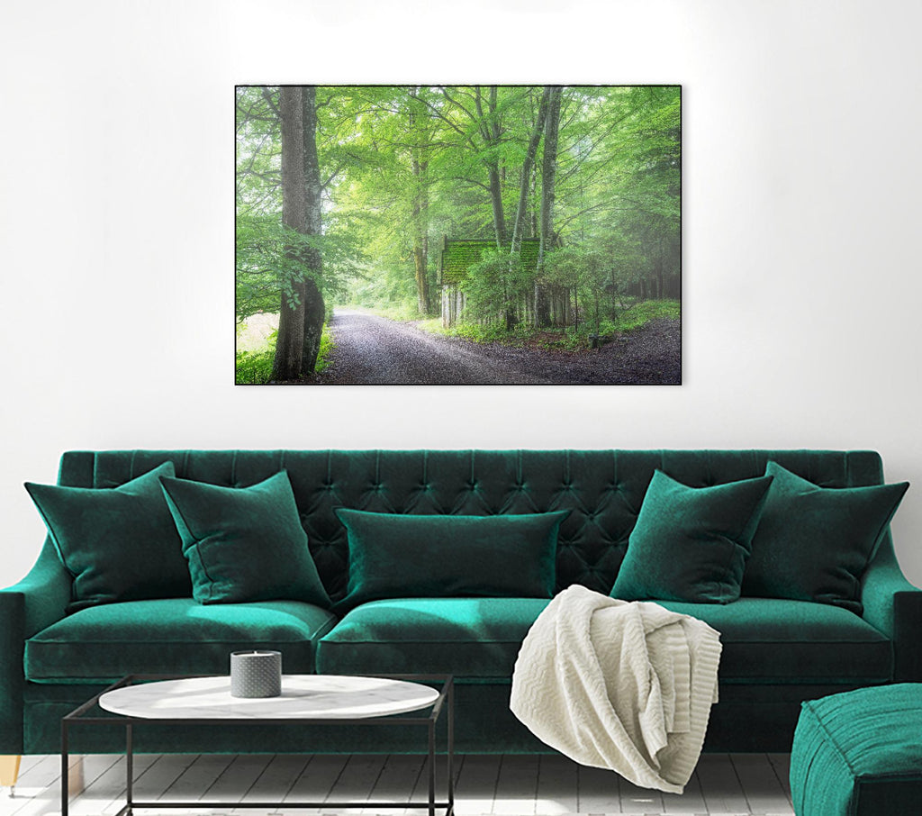 Frenzy Green by Anne Schneidersmann on GIANT ART - multicolor photography; landscapes