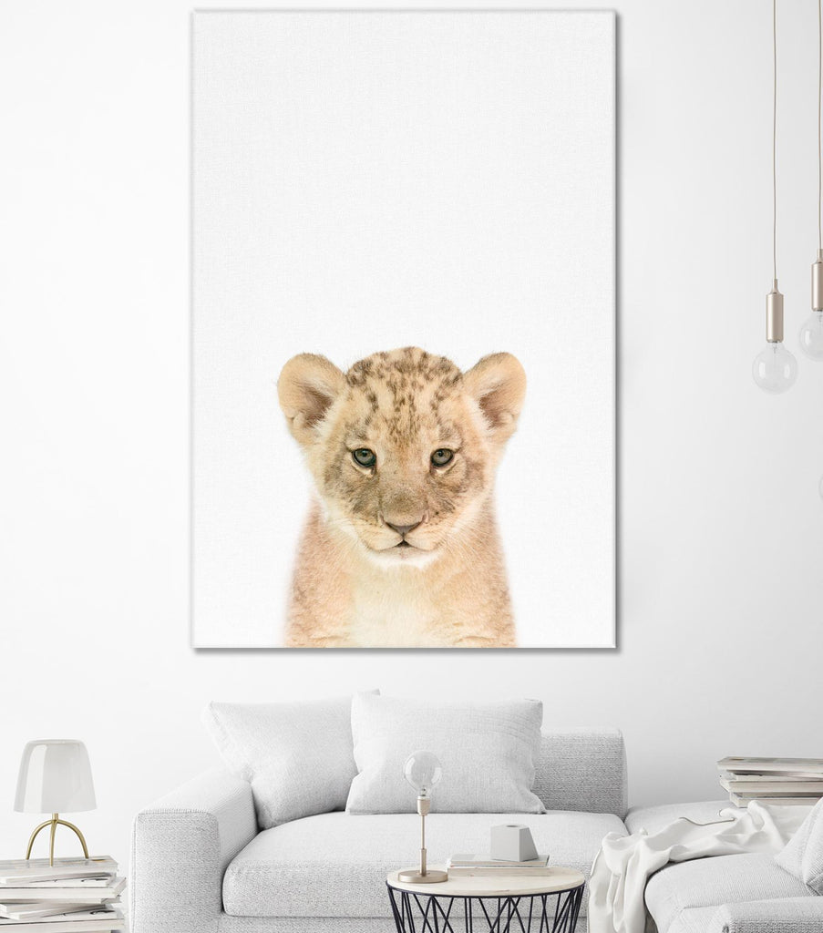 Baby Lion by Tai Prints on GIANT ART - multicolor animals