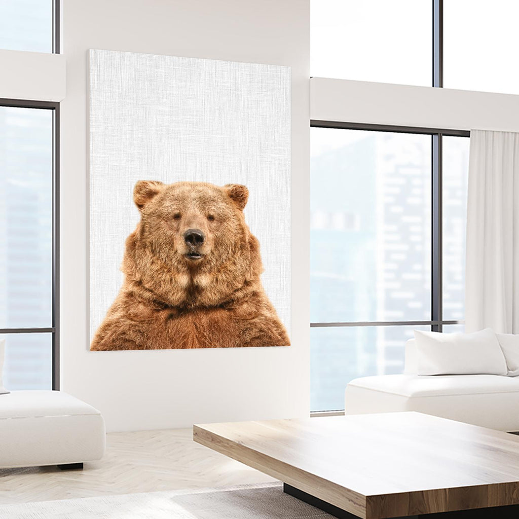 Bear by Tai Prints on GIANT ART - multicolor animals
