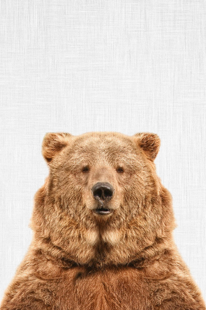 Bear by Tai Prints on GIANT ART - multicolor animals