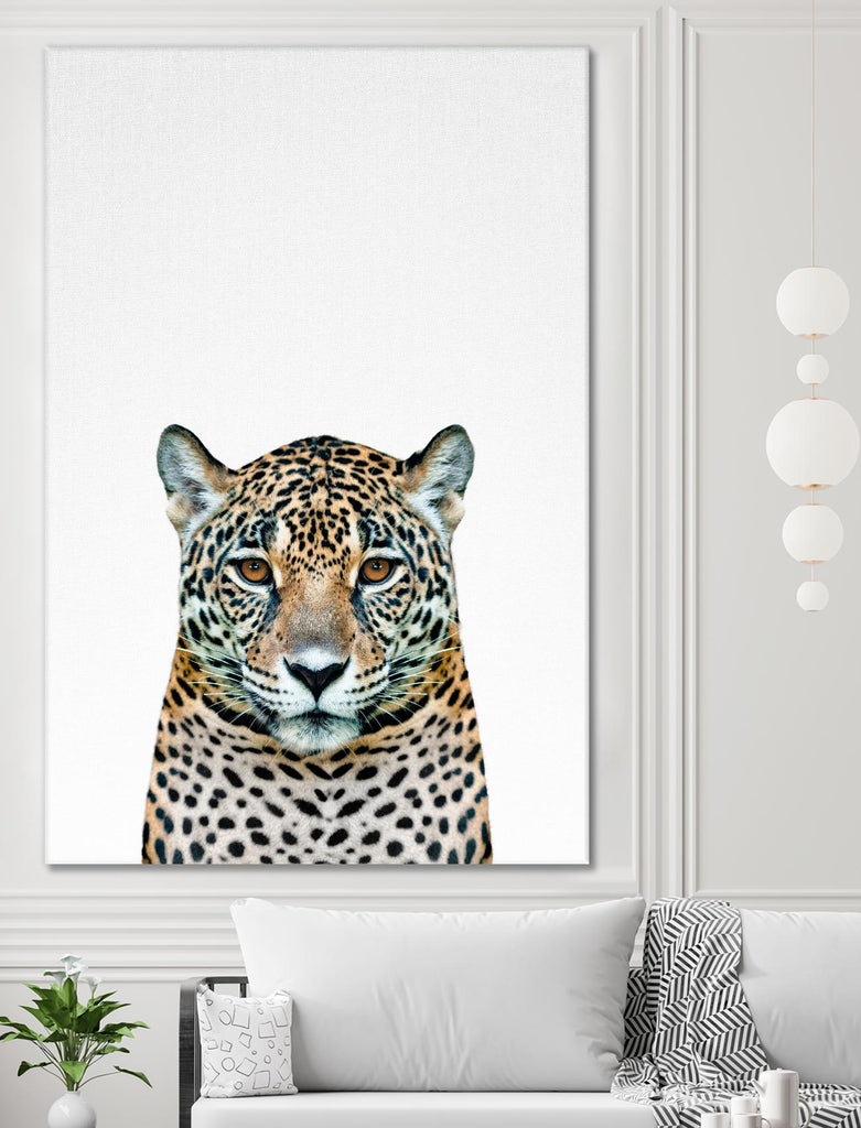 Leopard II by Tai Prints on GIANT ART - multicolor animals