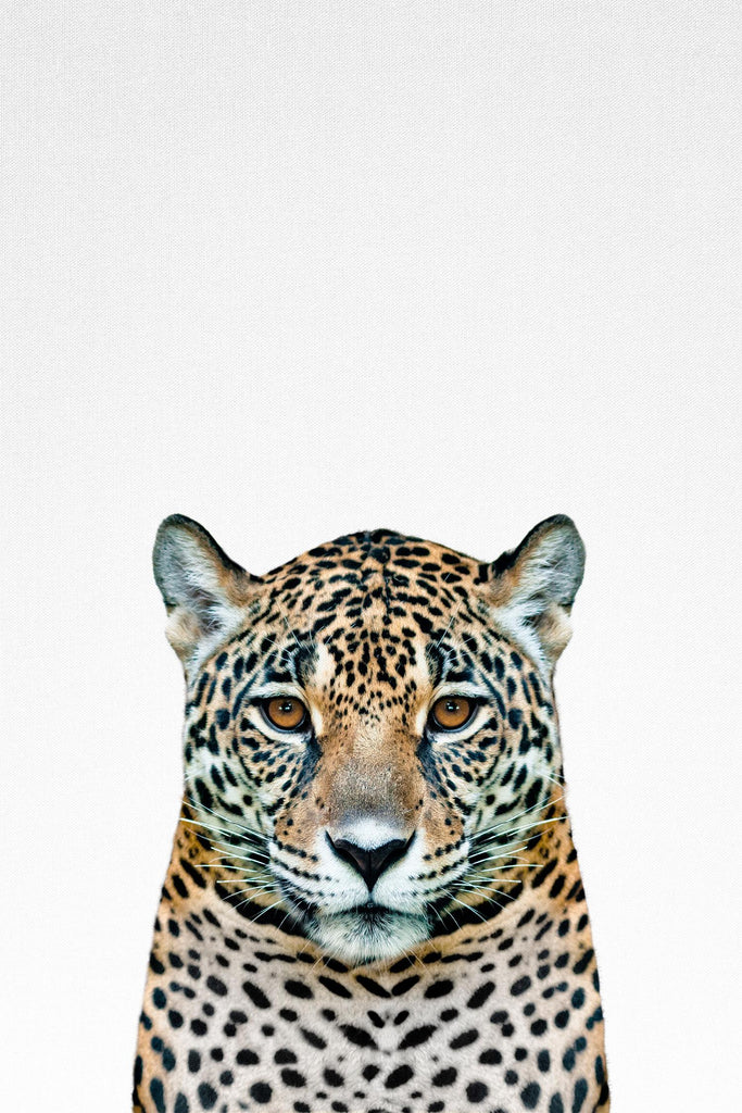 Leopard II by Tai Prints on GIANT ART - multicolor animals