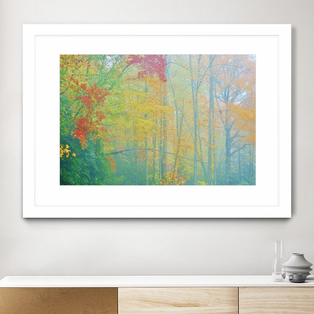 Autumn’s Palette by Steve Vaughn on GIANT ART - multicolor photography; landscapes