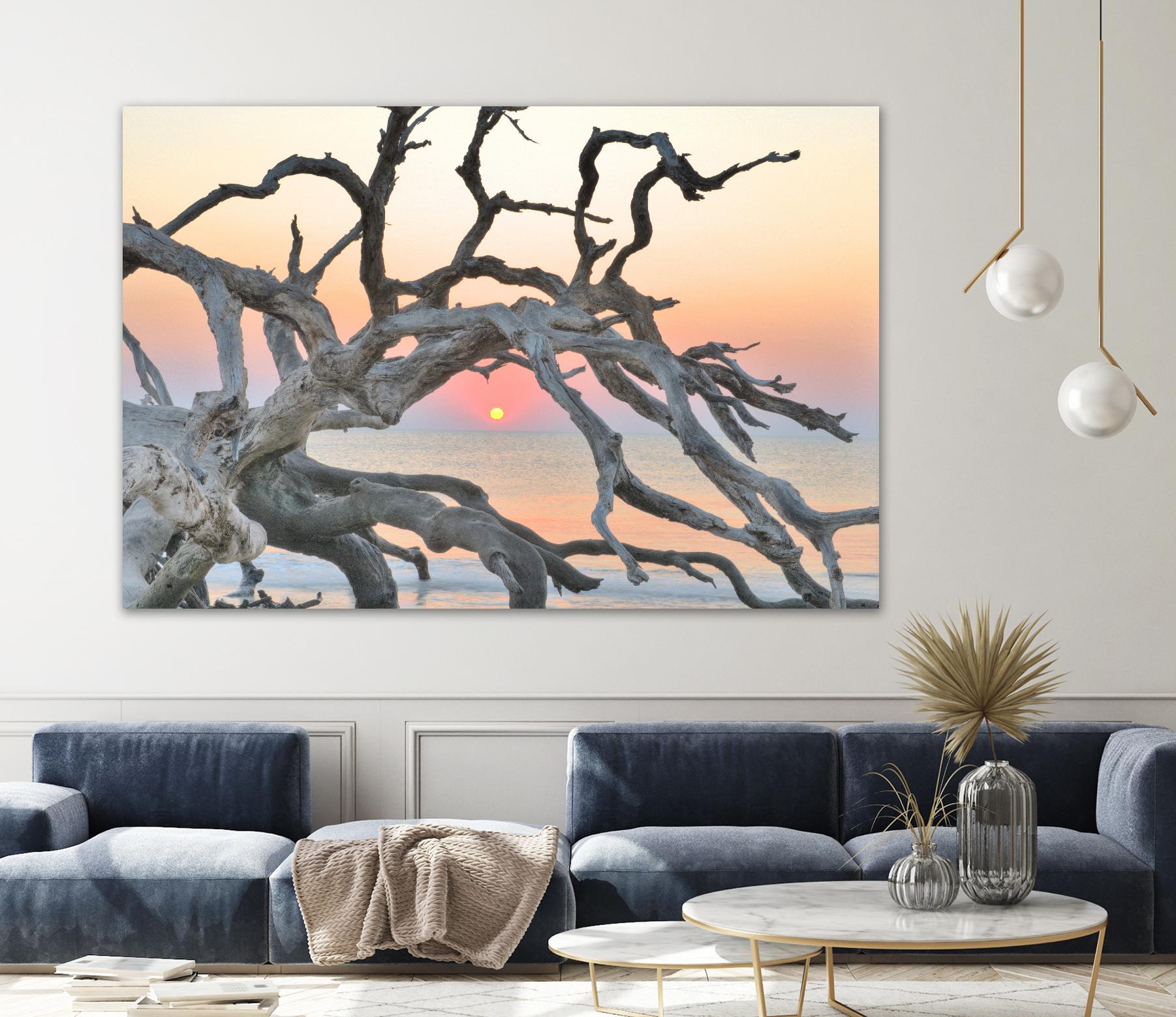 Sunrise Sentinel by Steve Vaughn on GIANT ART - multicolor photography; landscapes; coastal