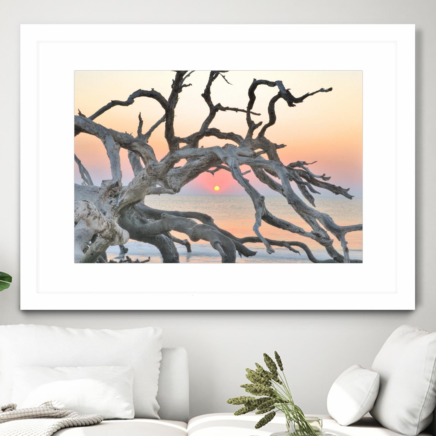 Sunrise Sentinel by Steve Vaughn on GIANT ART - multicolor photography; landscapes; coastal