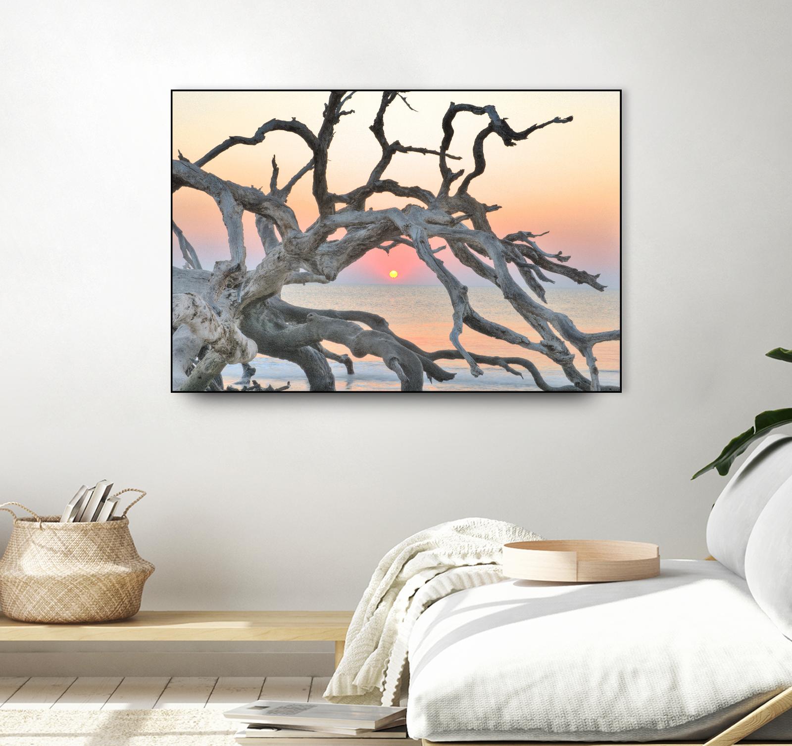 Sunrise Sentinel by Steve Vaughn on GIANT ART - multicolor photography; landscapes; coastal