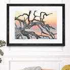 Sunrise Sentinel by Steve Vaughn on GIANT ART - multicolor photography; landscapes; coastal