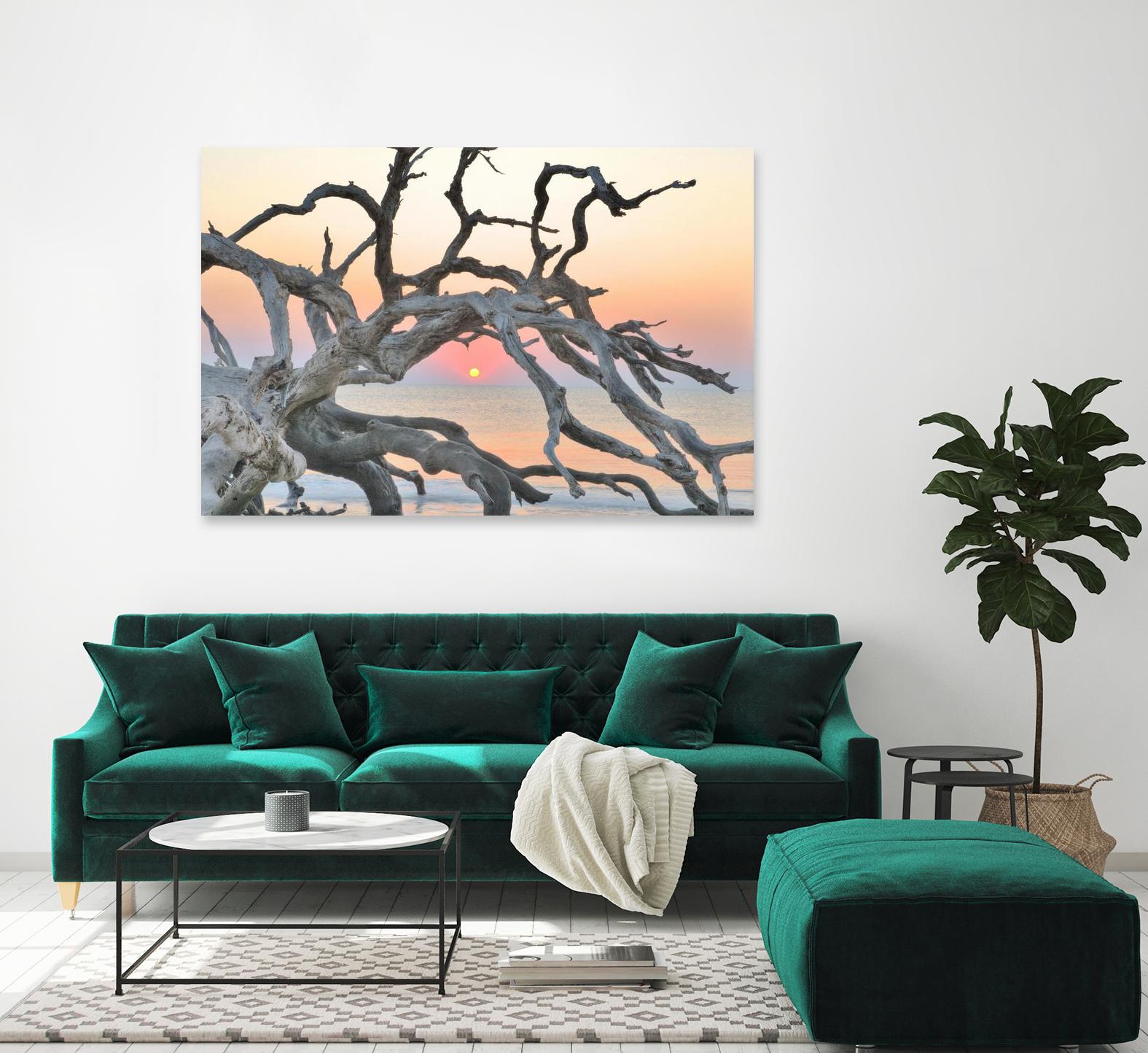 Sunrise Sentinel by Steve Vaughn on GIANT ART - multicolor photography; landscapes; coastal