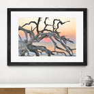 Sunrise Sentinel by Steve Vaughn on GIANT ART - multicolor photography; landscapes; coastal