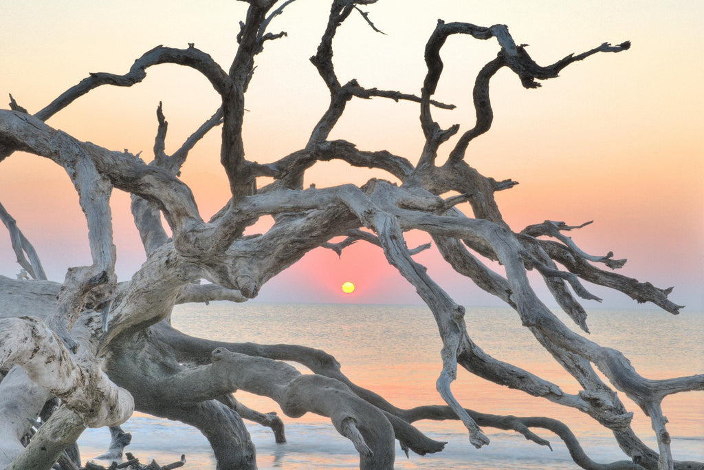 Sentinelle du lever du soleil par Steve Vaughn sur GIANT ART - photographie multicolore ; paysages ; littoral