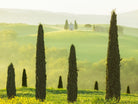 Tuscan Temple by Lars Van de Goor on GIANT ART - multicolor photography; landscapes