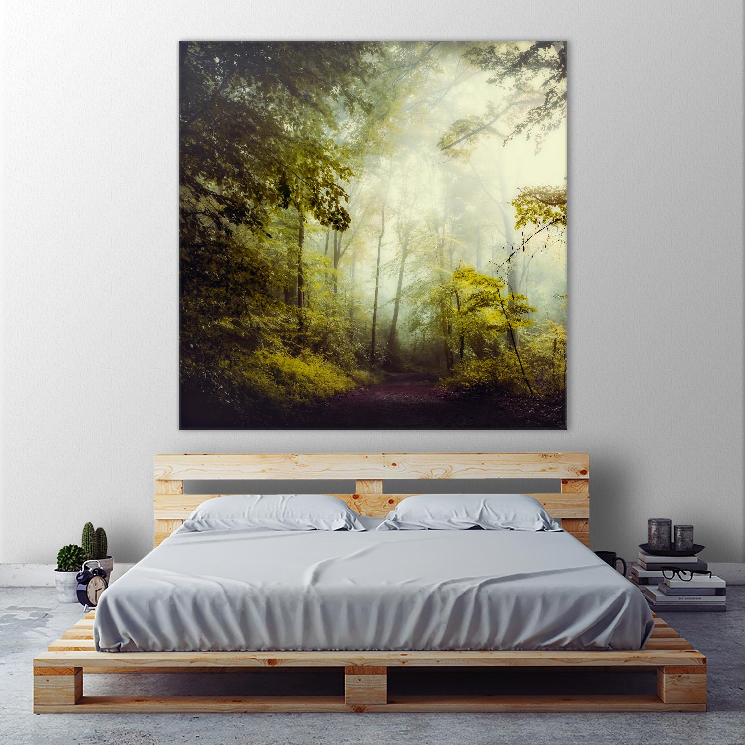 Glorious Woods by Dirk Wuestenhagen on GIANT ART - multicolor photography; landscapes