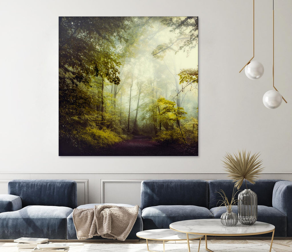 Glorious Woods by Dirk Wuestenhagen on GIANT ART - multicolor photography; landscapes