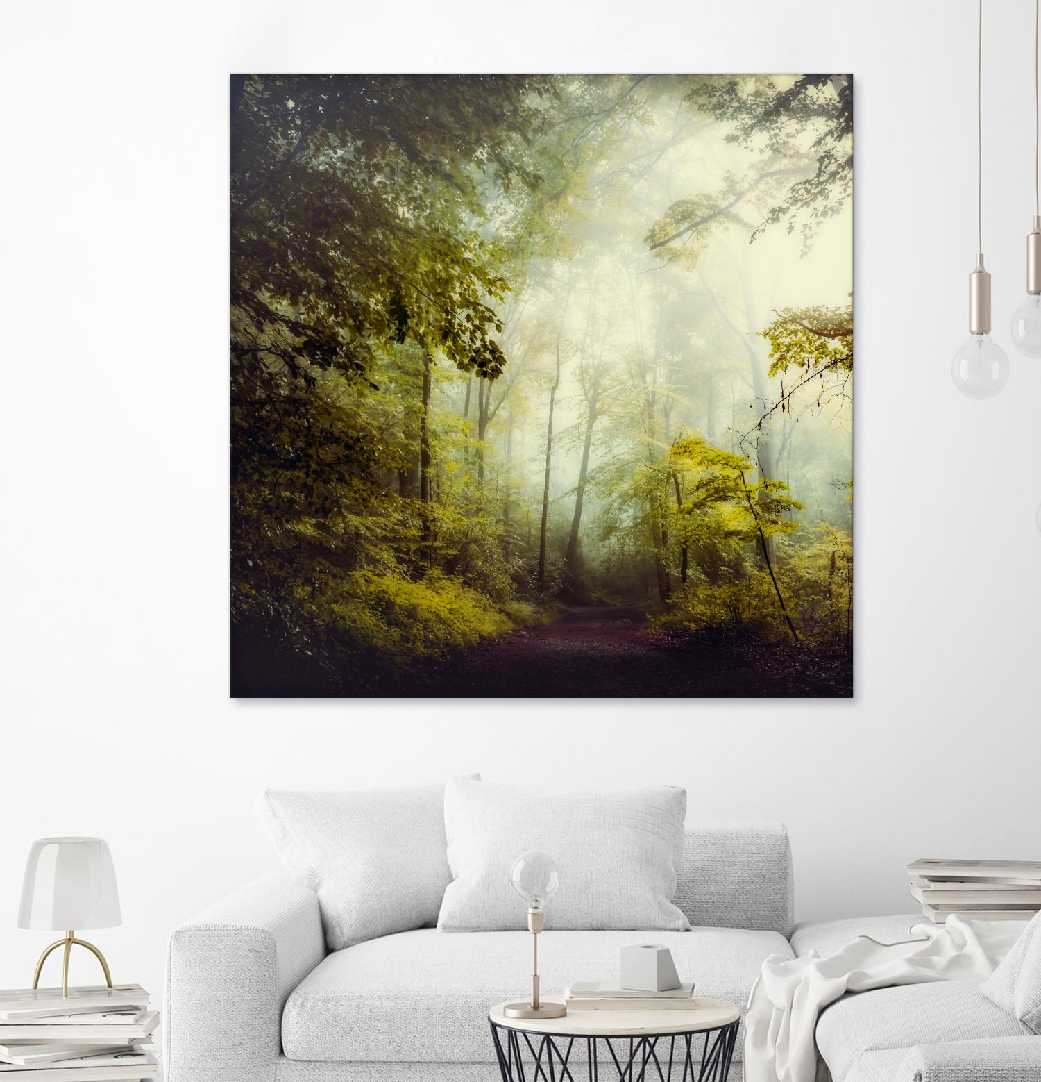 Glorious Woods by Dirk Wuestenhagen on GIANT ART - multicolor photography; landscapes