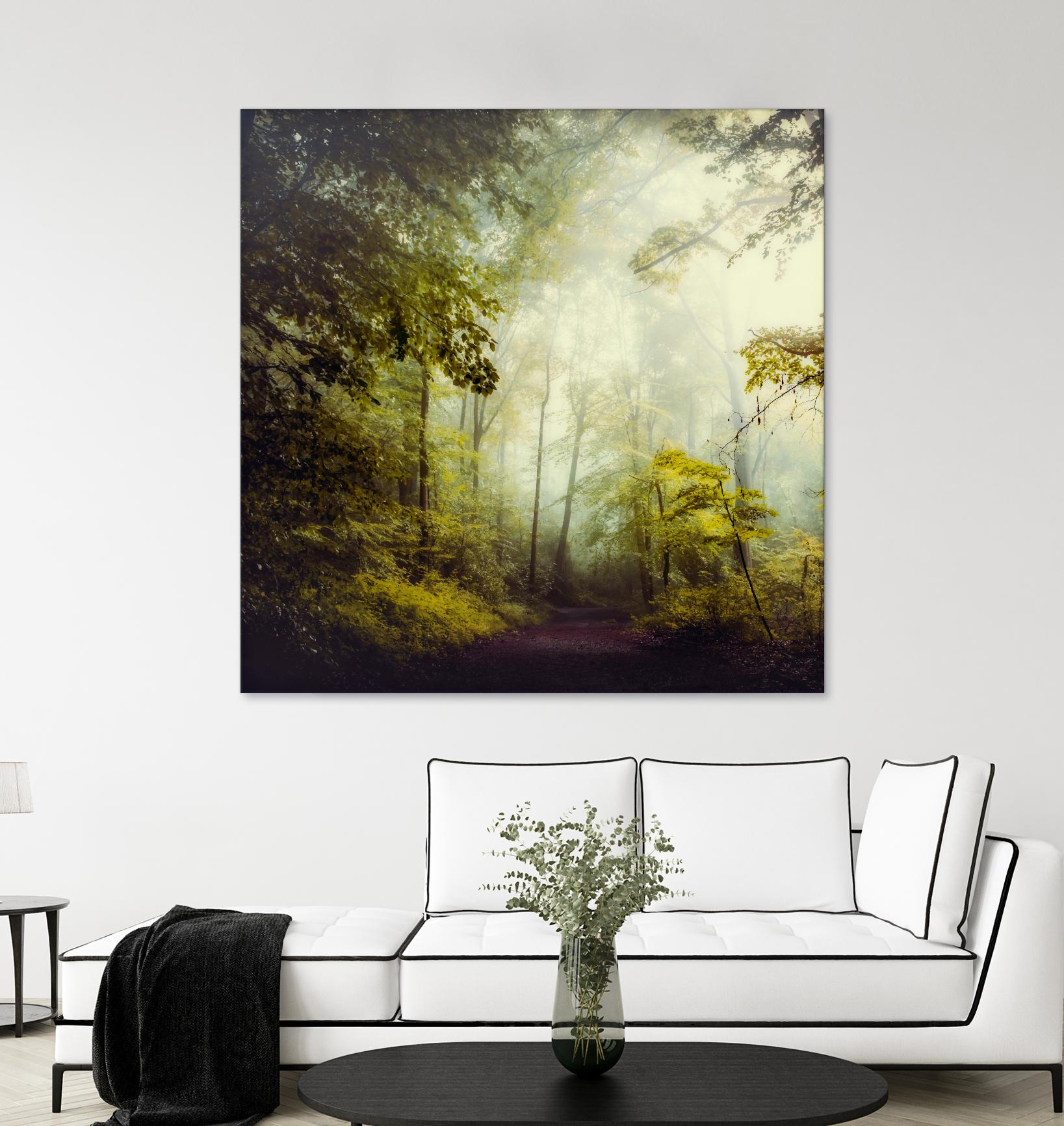 Glorious Woods by Dirk Wuestenhagen on GIANT ART - multicolor photography; landscapes