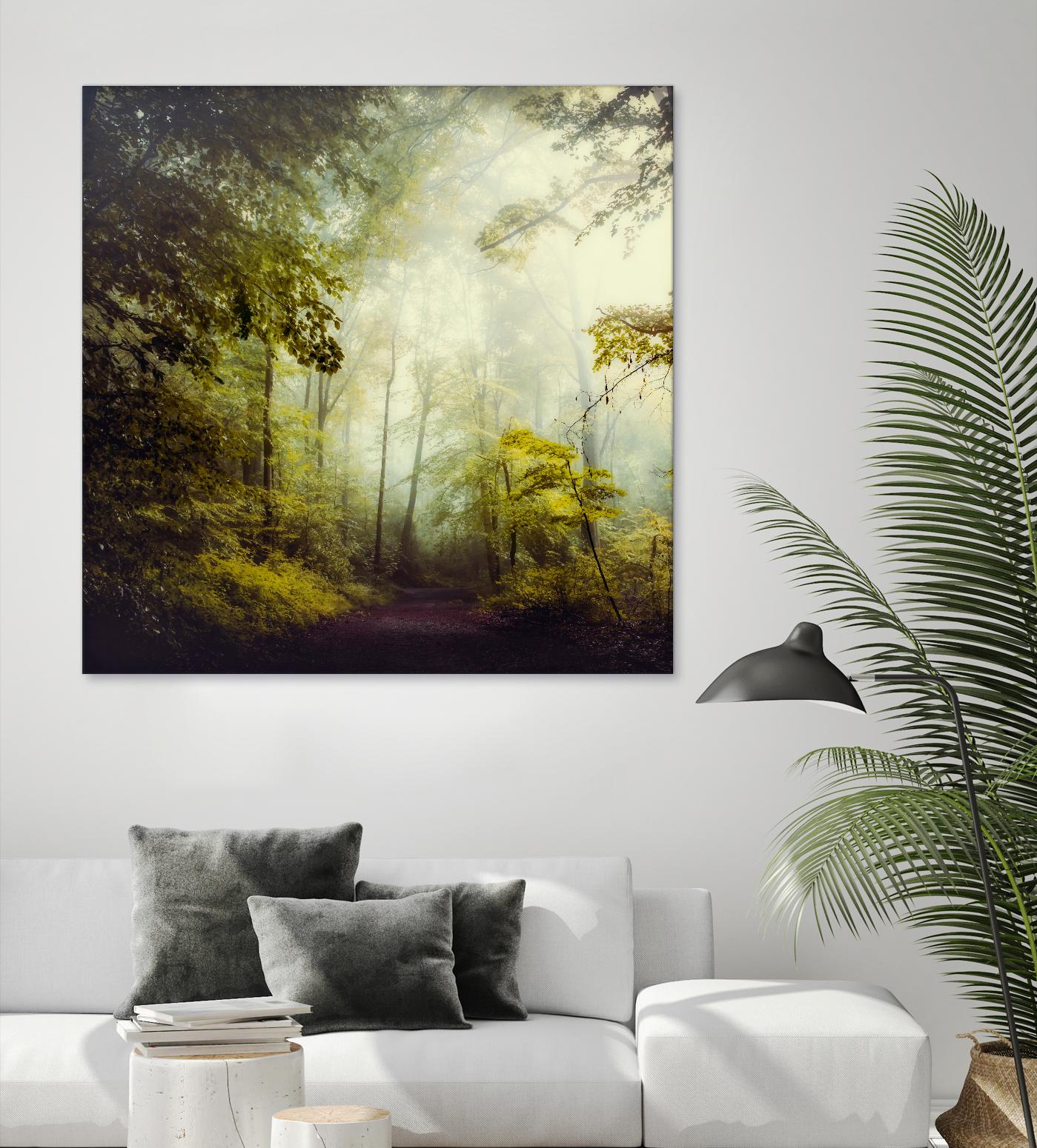 Glorious Woods by Dirk Wuestenhagen on GIANT ART - multicolor photography; landscapes