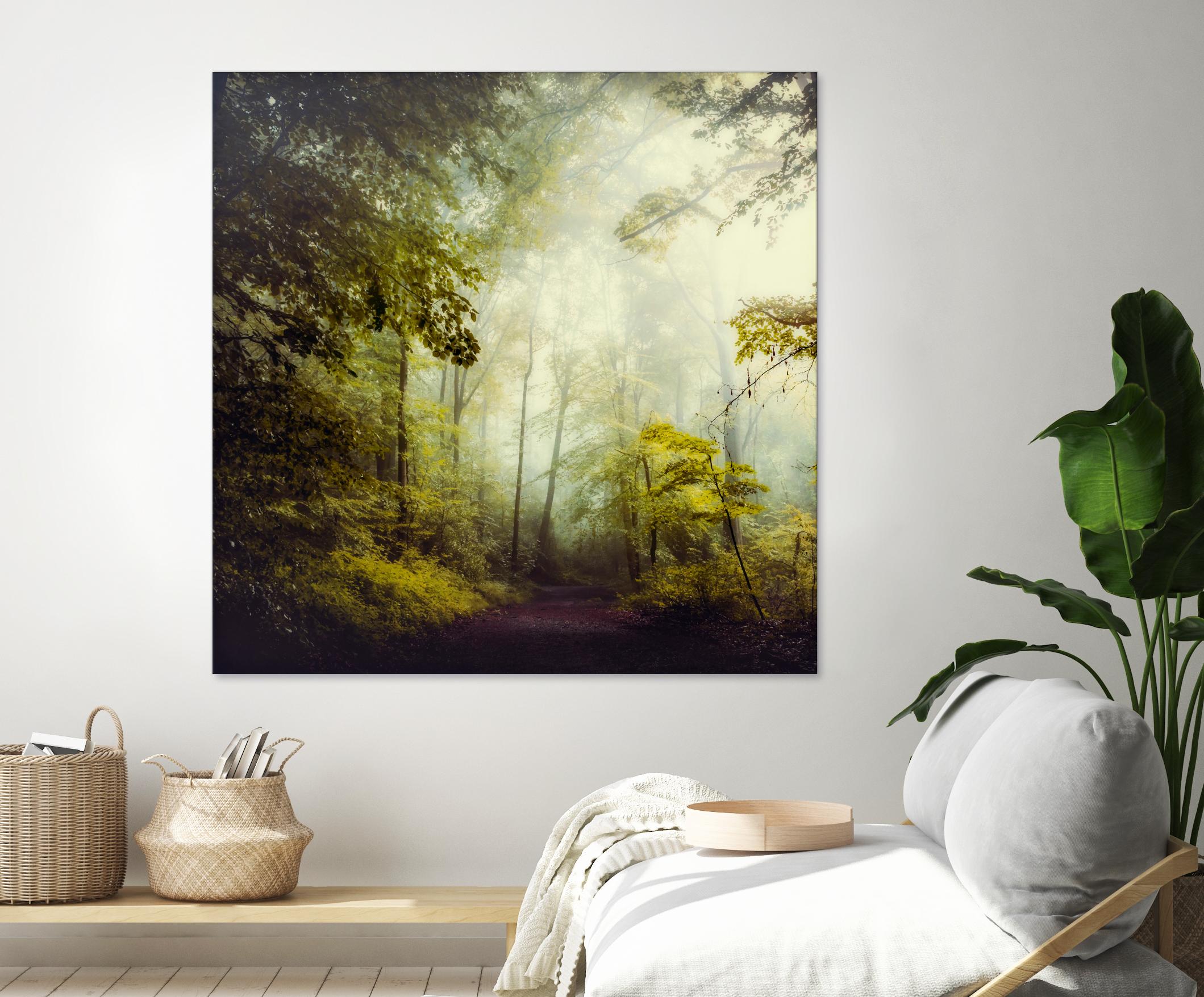 Glorious Woods by Dirk Wuestenhagen on GIANT ART - multicolor photography; landscapes