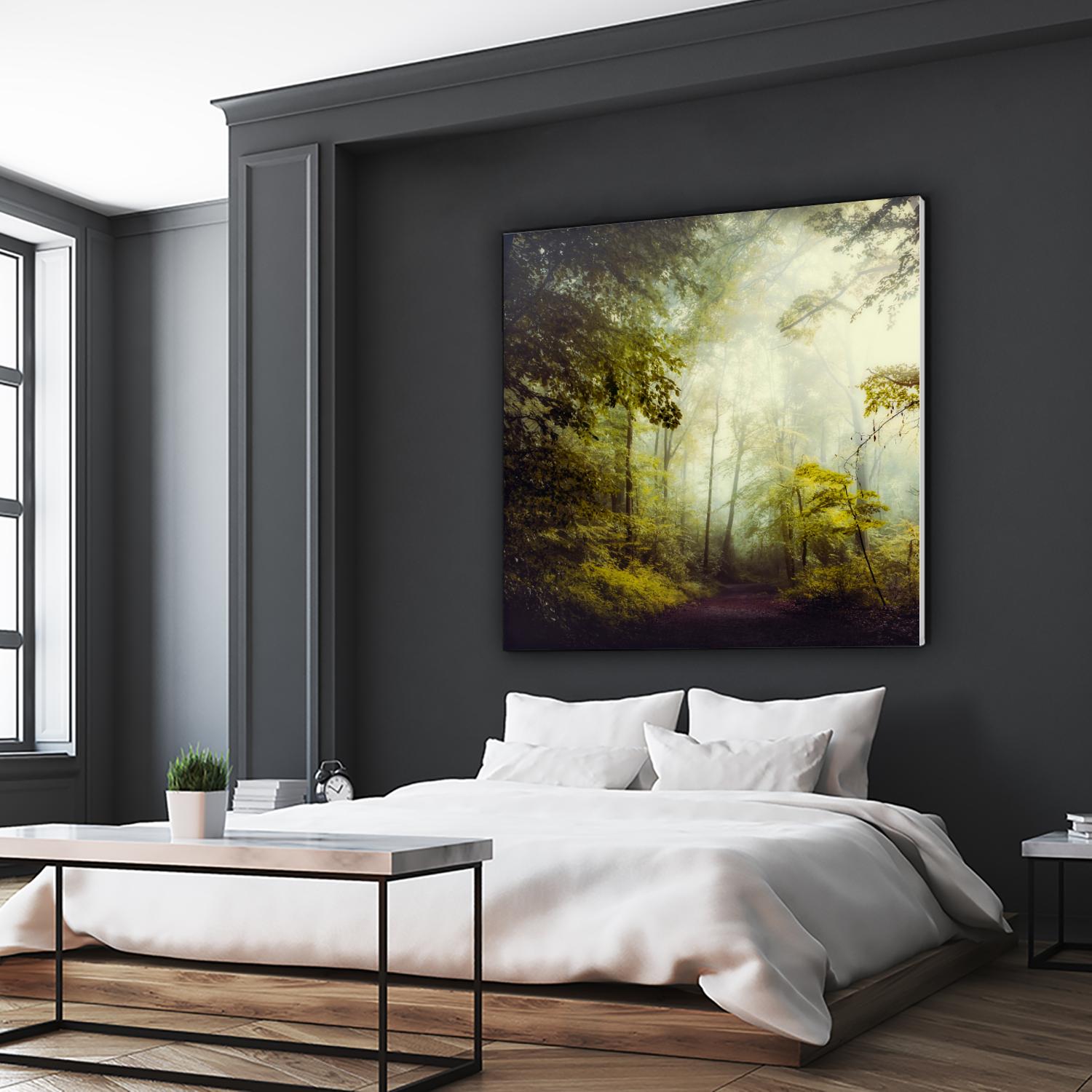 Glorious Woods by Dirk Wuestenhagen on GIANT ART - multicolor photography; landscapes