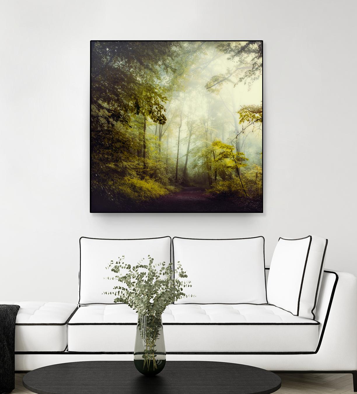 Glorious Woods by Dirk Wuestenhagen on GIANT ART - multicolor photography; landscapes