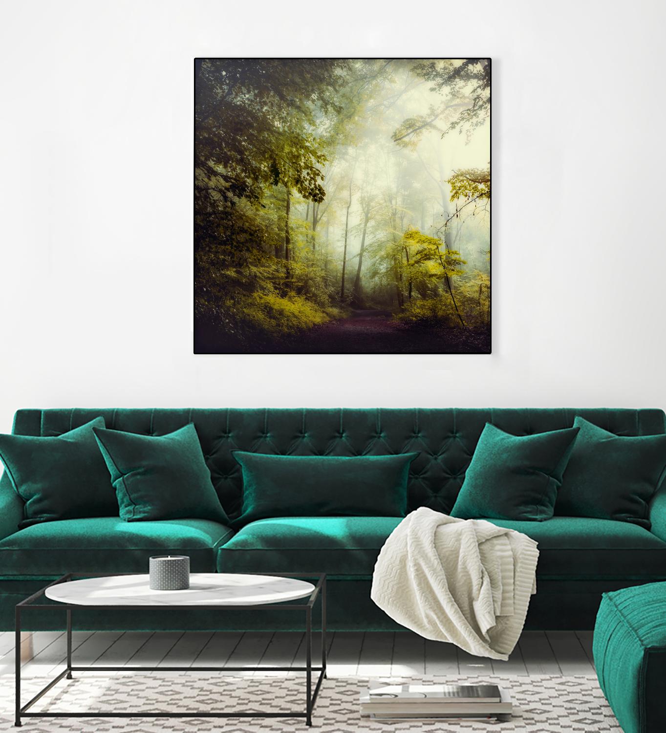 Glorious Woods by Dirk Wuestenhagen on GIANT ART - multicolor photography; landscapes