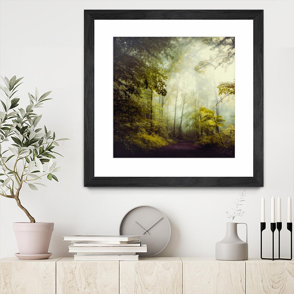 Glorious Woods by Dirk Wuestenhagen on GIANT ART - multicolor photography; landscapes