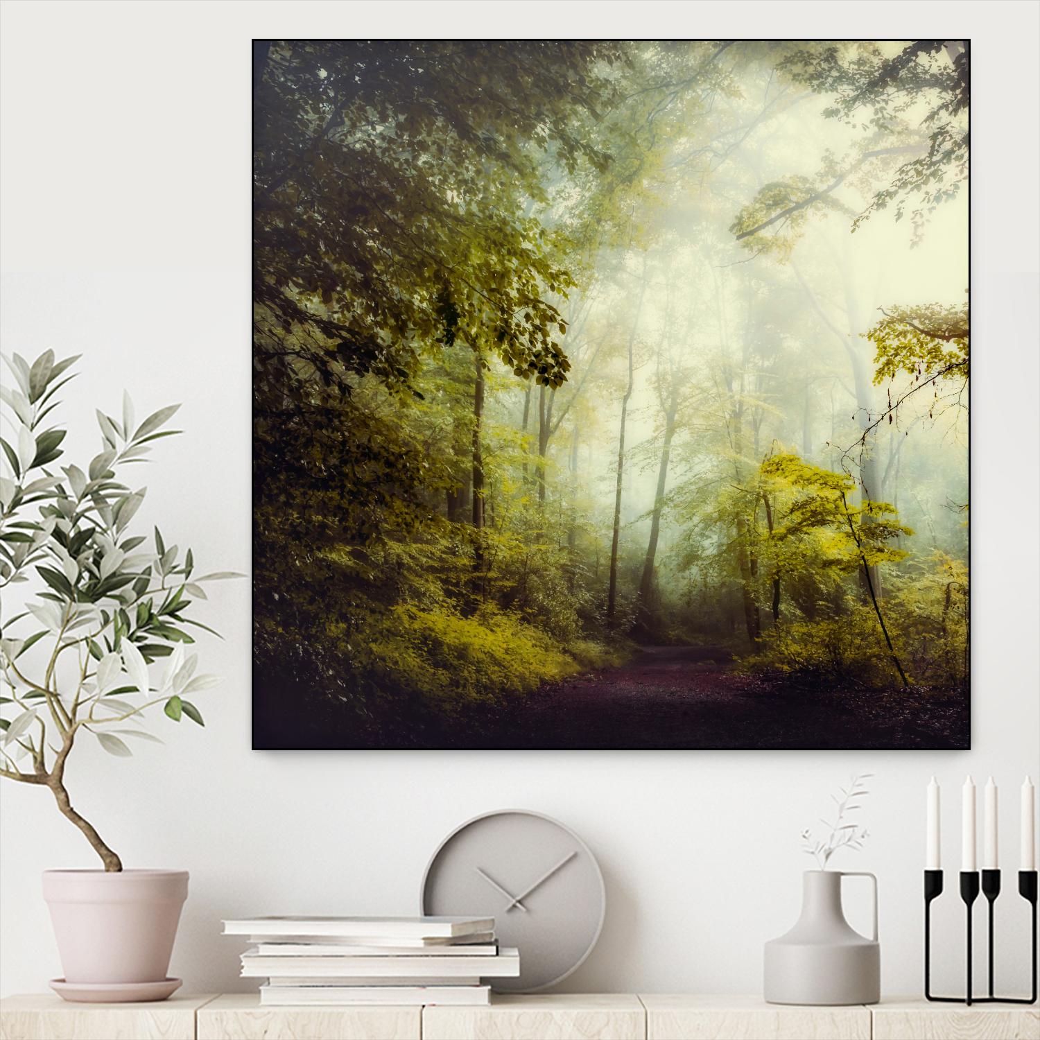 Glorious Woods by Dirk Wuestenhagen on GIANT ART - multicolor photography; landscapes