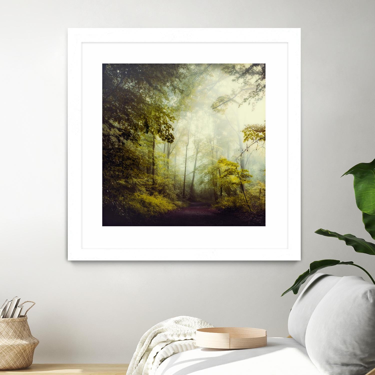 Glorious Woods by Dirk Wuestenhagen on GIANT ART - multicolor photography; landscapes