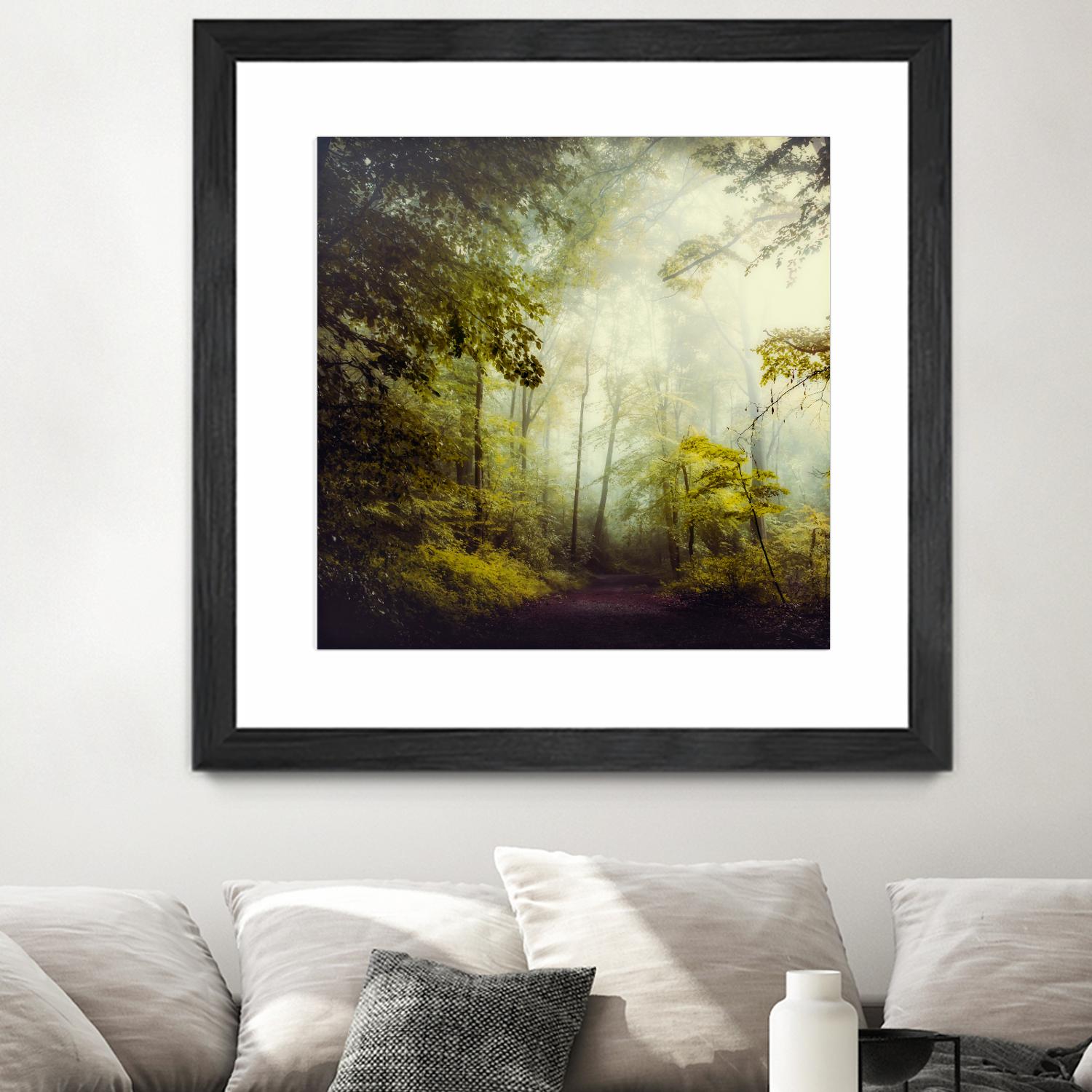 Glorious Woods by Dirk Wuestenhagen on GIANT ART - multicolor photography; landscapes