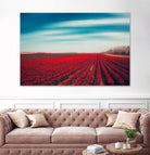 Tulips by Dirk Wuestenhagen on GIANT ART - multicolor photography; landscapes