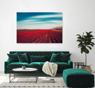Tulips by Dirk Wuestenhagen on GIANT ART - multicolor photography; landscapes