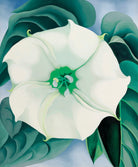 Jimson Weed white Flower, No. 1, 1032 by Georgia O'keeffe on GIANT ART - masters