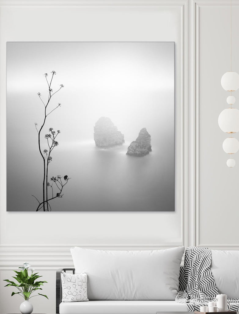 Misty Rocks par Alexandre Manuel sur GIANT ART - paysage gris