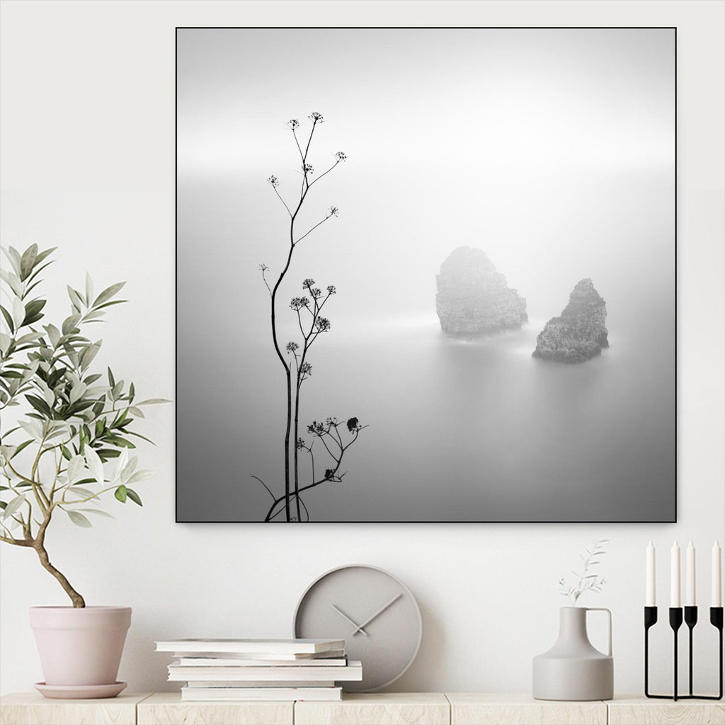 Misty Rocks par Alexandre Manuel sur GIANT ART - paysage gris