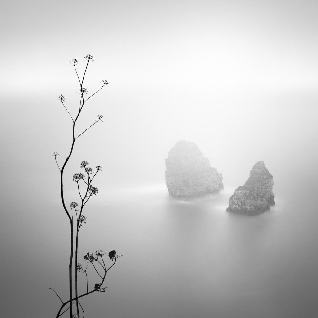 Misty Rocks by Alexandre Manuel on GIANT ART - grey landscape