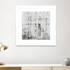 Birch Perspective II by John Bingham on GIANT ART - grey Abstract