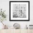 Birch Perspective II by John Bingham on GIANT ART - grey Abstract