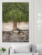 Stairway to Green by John Bingham on GIANT ART - grey city scene