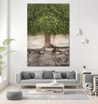 Stairway to Green by John Bingham on GIANT ART - grey city scene