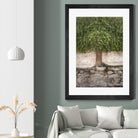 Stairway to Green by John Bingham on GIANT ART - grey city scene