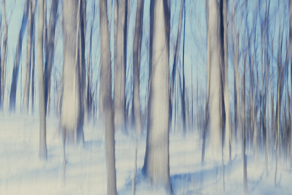 Flurries by Brian Kuritz on GIANT ART - blue trees