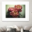 Standing in the Sun II by Jennifer Beavers on GIANT ART - green floral