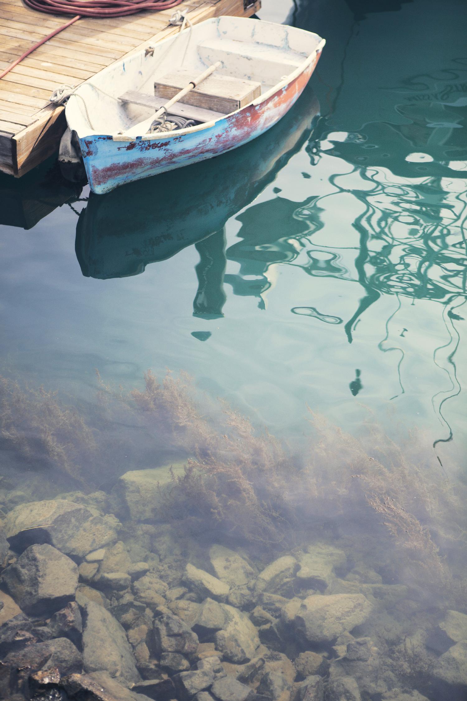 Finding Normal by Catherine McDonald on GIANT ART - brown sea scene