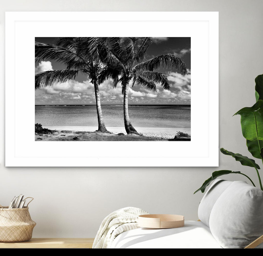 Summer Breezes I de Dennis Frates sur GIANT ART - blanc tropical
