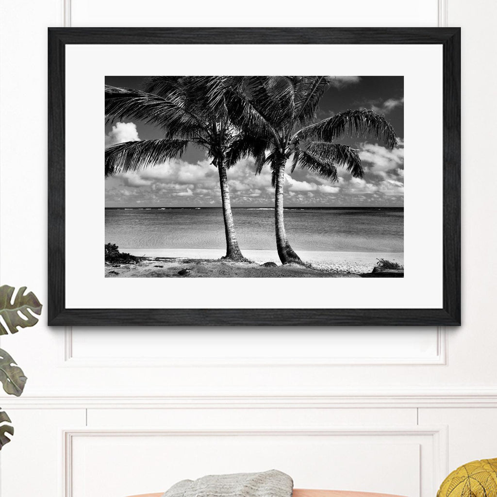 Summer Breezes I by Dennis Frates on GIANT ART - white tropical