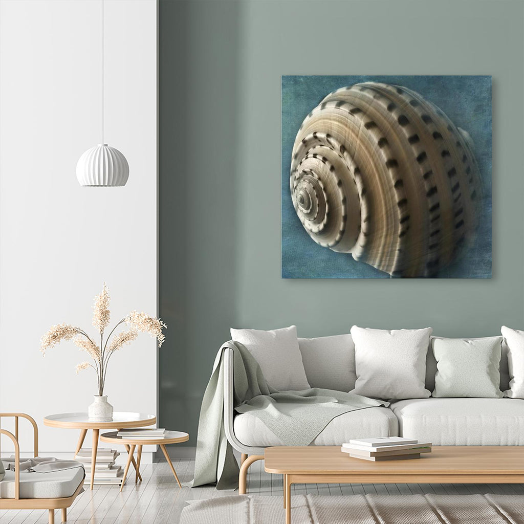 Three Shades of Blue Conch by Dennis Frates on GIANT ART - beige nautical