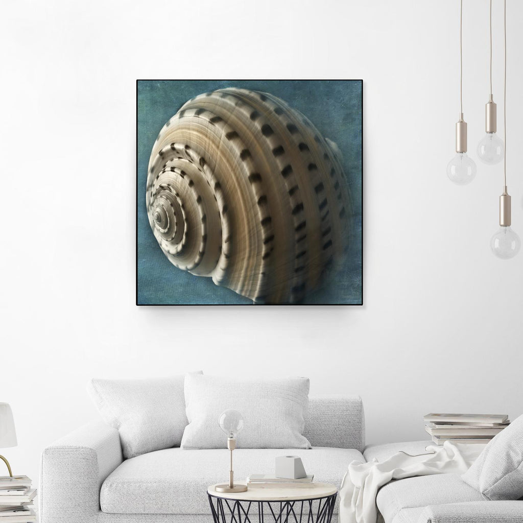 Three Shades of Blue Conch by Dennis Frates on GIANT ART - beige nautical